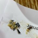 이구위드 | 울산 피오레 산후조리원 가격비교 후기