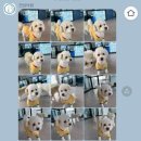 견상낙원 이미지