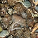 둘레길 펜션 이미지