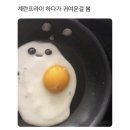 후라이의꿈