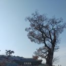 수원-1117 이미지