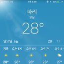 메르시스냅 네이버블로그