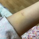 [17. 조리원기록] 대구더블유산후조리원 특실 후기