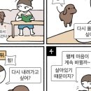 두부생각 이미지