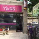 셀라미용실 네이버블로그