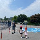 (주)에버 | 6월 둘째 주 에버랜드 방문 후기(5세 아이와 함께)