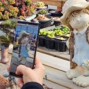 송전농장 이미지