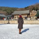 양지실외골프연습장 이미지