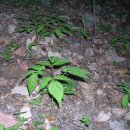 한서농장 이미지