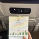 동방마트 | 상하이 2박 3일 출장! _홍지에훠궈/미니소/팝마트/라부부를 찾아서/난징동루/와이탄야경/중국동방항공 후기