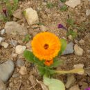 현산면사무소2층회의실 이미지