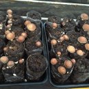 시흥표고(주)