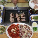 산천오리 이미지