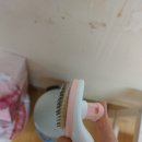 부자캔넬 | 길냥이에서 집냥이로 육묘일기 1일차 작성