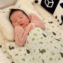 [공지] 신생아 모로반사로 잠 못 자는 아기 머미쿨쿨 좁쌀이불로 해결