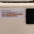 포도민박 | 제주 함덕숙소 포도민박 내돈내산 후기
