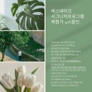 에스테티크 네이버블로그