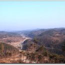 사곡농장 Daum카페
