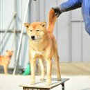 달아실 농원 네이버블로그