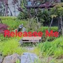 Release me 이미지