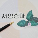 주식회사 동국플러스 이미지