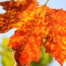 인사불성 이미지