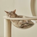 고양이의 하루 | 세이펫 4단 캣타워 스누즈T4로 고양이의 놀이터 완성! 실사용 후기