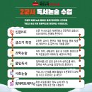 대한논리학원 네이버블로그