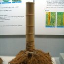 관광-1 담양 대나무 박물관.... 이미지