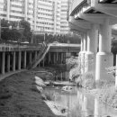 도림천 산책로3 이미지