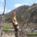 기원농장 이미지