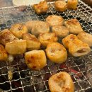 돼지은행 | 시흥 은행동 은행단지 꼼장어 갈매기살 돼지막창 맛집 내돈내산 솔직후기 <참숯불꼼장어>