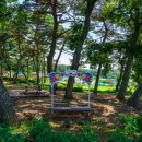 천혜약국 중앙일보