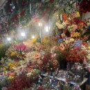 조화 | [일상] 셀프웨딩촬영 부케 만들기 고터 예림조화 방문 후기, 위치, 영업시간