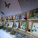 와동체육공원 이미지