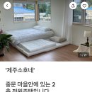 제주소호네 이미지