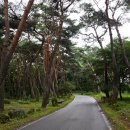 동호마을 이미지