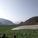 여수농장 이미지