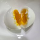 돈까스날다 | 2월 일기 : 울어서 해결될 일인가요? v아니요