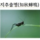 솔명 이미지
