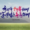 제주경마정보