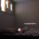 창신민박 이미지