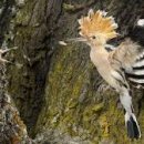 화인아파트(남) 이미지