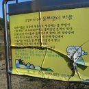 뜬봉샘농장 Daum카페