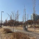 J3423 | (서울 용산) 이촌역 롤케이크 맛집 미스랄라 / 강아지 있는 아늑한 동네 카페