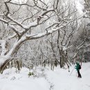 동이목장 이미지