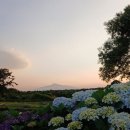 태균목장 Daum카페