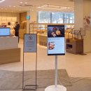 휘닉스중앙평창 그린동 | 휘닉스 평창 그린동 리뉴얼 후기 스카이 스탠다드 패밀리 객실 조식 뷔페 솔직 리뷰