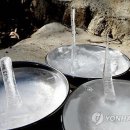 마이산농장 이미지