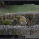 덕산온천관광단지 이미지